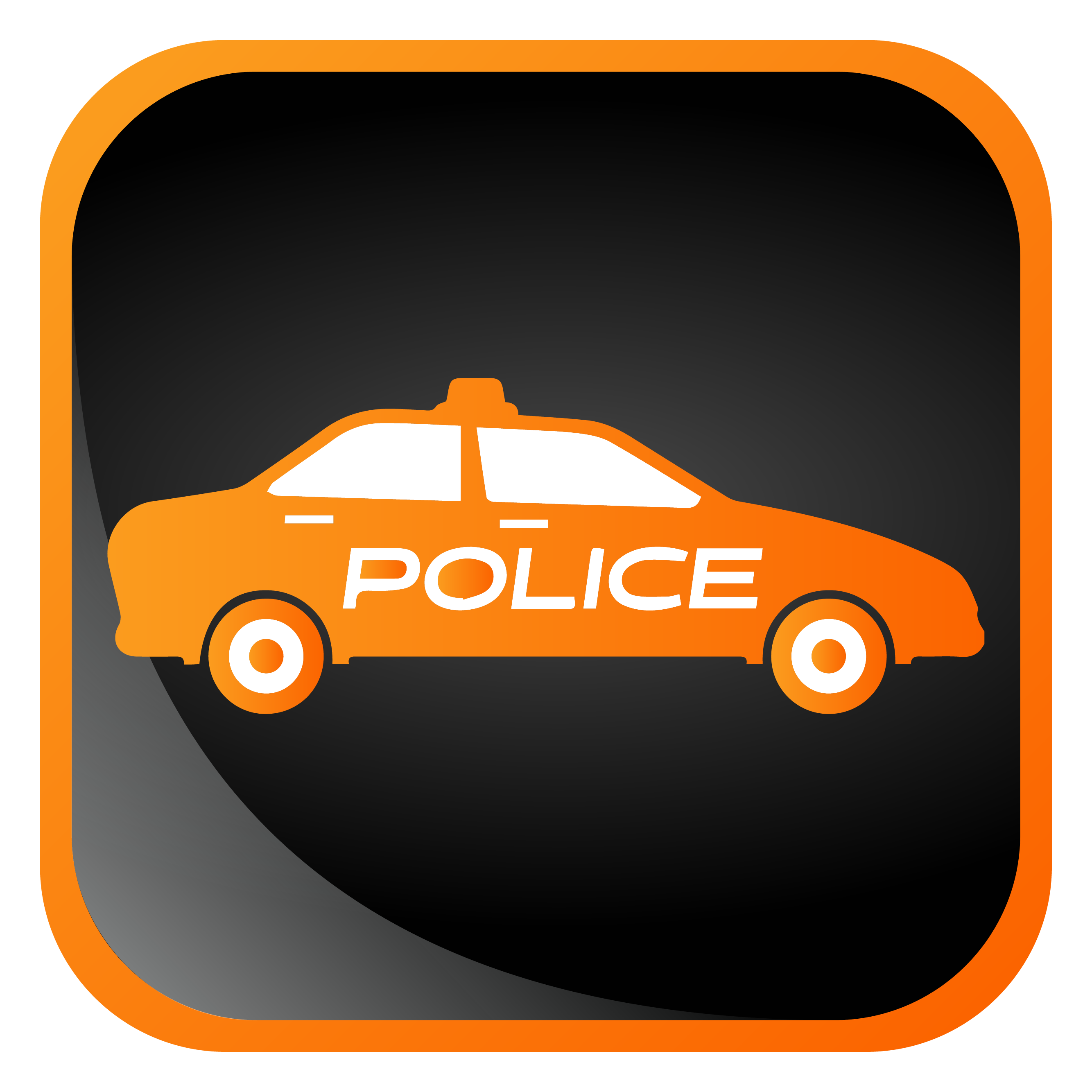 Police Services