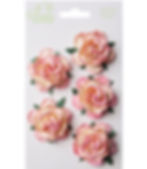 Product logo